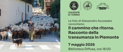 Il cammino che ritorna